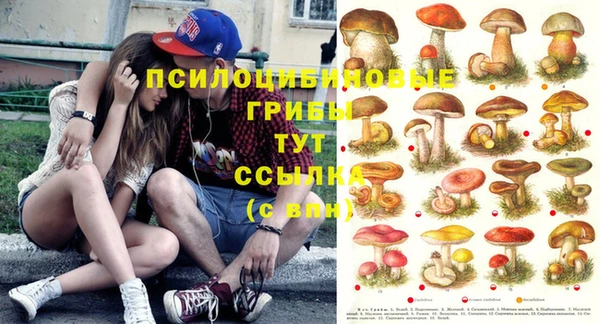 ГАЛЛЮЦИНОГЕННЫЕ ГРИБЫ Баксан