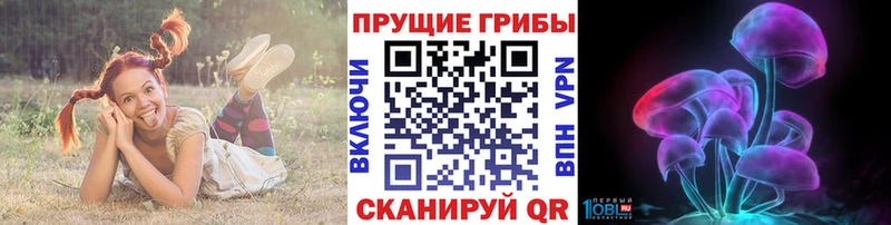 сколько стоит Верхнеуральск Псилоцибиновые грибы мухоморы